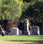 Detail: Pioneer Park, graveyard, January 2009 (photograph by Kristen Tobiason)