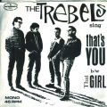The Trebels 45 cover